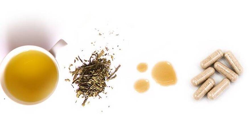 La tua guida esperta di tè verde